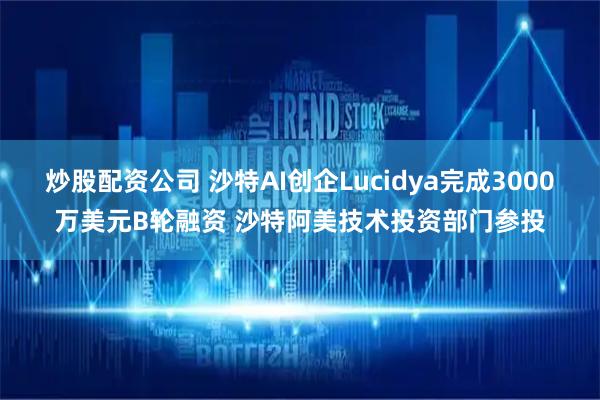 炒股配资公司 沙特AI创企Lucidya完成3000万美元B轮融资 沙特阿美技术投资部门参投